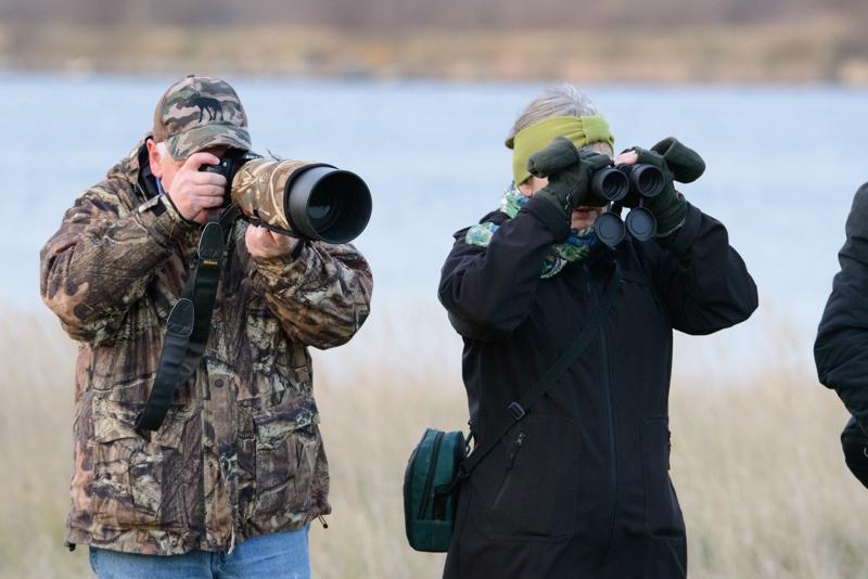  20141129_PB8_5519.JPG </br ><small> 2014-11-29 16:18</br >NIKON D800 + 150.0-600.0 mm f/5.0-6.3<br /> 320mm 1/500s f/7.1 ISO 5000</small>