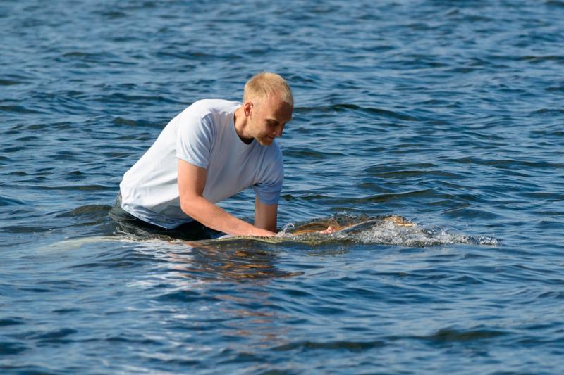  PB8_1264.JPG </br ><small> 2012-09-16 13:34</br >NIKON D800 + 70.0-200.0 mm f/2.8<br /> 200mm 1/5000s f/5.6 ISO 800</small>