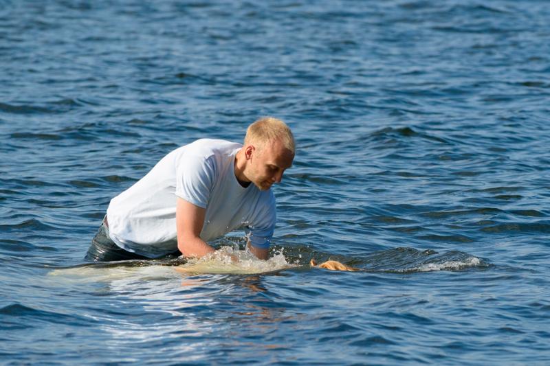  PB8_1266.JPG </br ><small> 2012-09-16 13:34</br >NIKON D800 + 70.0-200.0 mm f/2.8<br /> 200mm 1/4000s f/5.6 ISO 800</small>