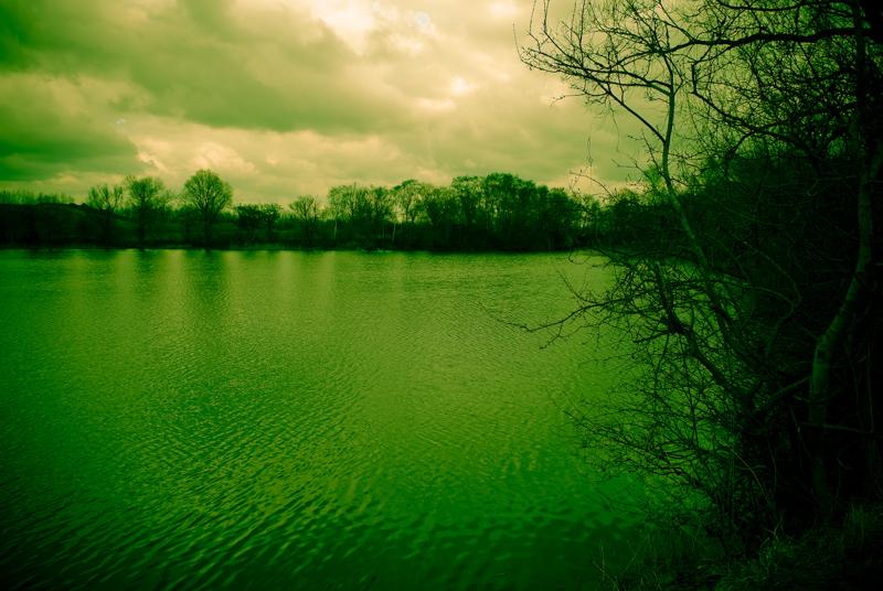  D2C_6380.jpg </br ><small> 2008-04-06 15:00</br >NIKON D200 17mm 1/90s f/8 ISO 100</small>