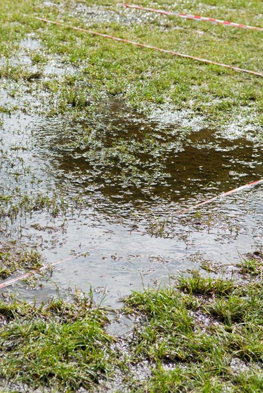  D2C_0974.jpg </br >Boernefestival</br > <small> 2007-07-25 10:40</br >NIKON D200 55mm 1/1000s f/5.6 ISO 200</small>