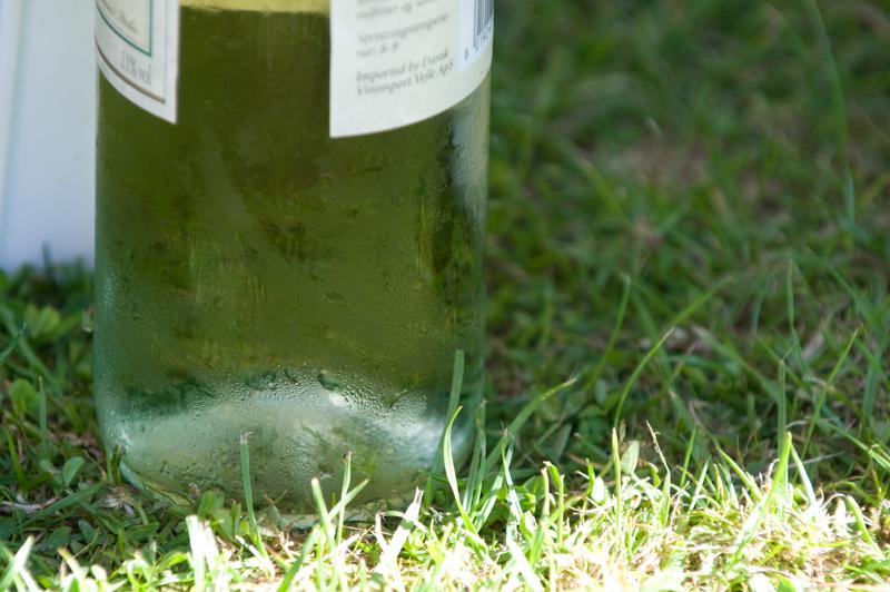  D3C_2468.jpg </br ><small> 2008-07-12 18:00</br >NIKON D300 200mm 1/125s f/5.6 ISO 200</small>