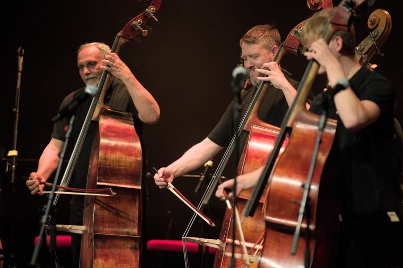  PBZ_6589.jpg </br ><small> 2024-04-12 19:37</br >NIKON Z 8 + VR 70-200mm f/2.8G<br /> 190mm 1/160s f/2.8 ISO 5000</small>