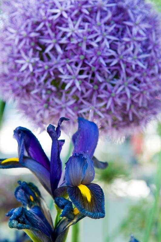  D3C_0988.jpg </br ><small> 2008-06-01 13:30</br >NIKON D300 50mm 1/60s f/5.6 ISO 200</small>