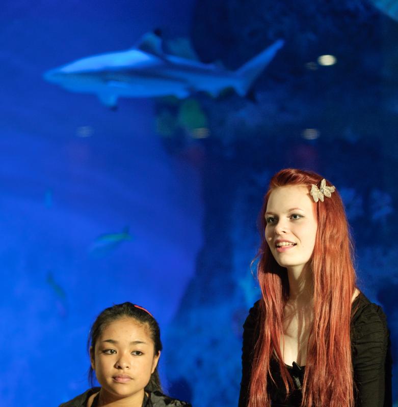  D3C_3167.jpg </br ><small> 2010-06-12 17:41</br >NIKON D300 116mm 1/60s f/2.8 ISO 1600</small>