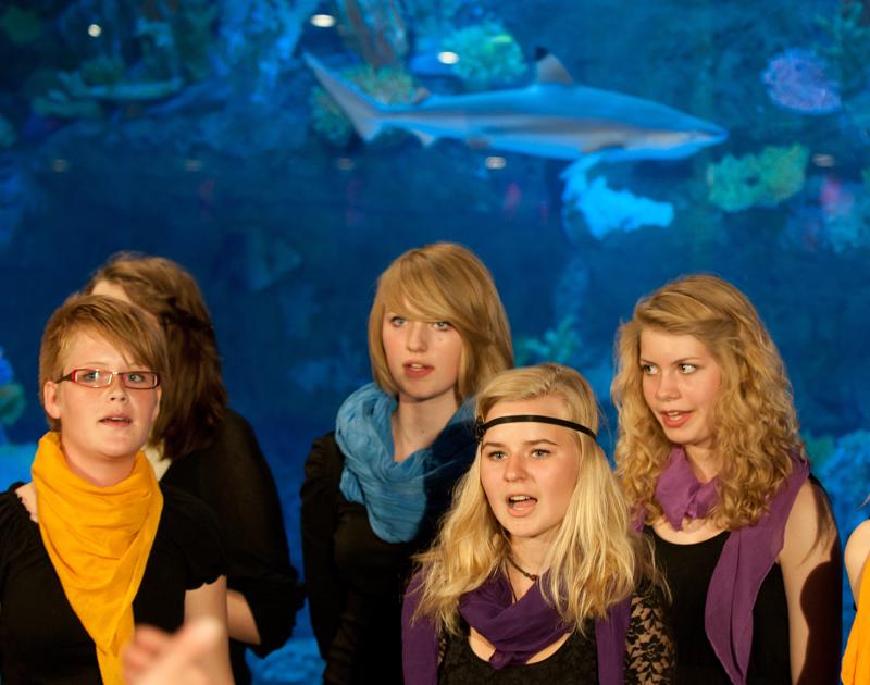  D3C_3268.jpg </br ><small> 2010-06-13 17:47</br >NIKON D300 70mm 1/60s f/3.2 ISO 1250</small>