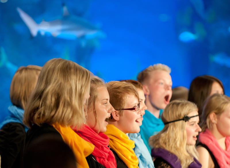  D3C_3292.jpg </br ><small> 2010-06-13 17:55</br >NIKON D300 160mm 1/40s f/3.2 ISO 1250</small>