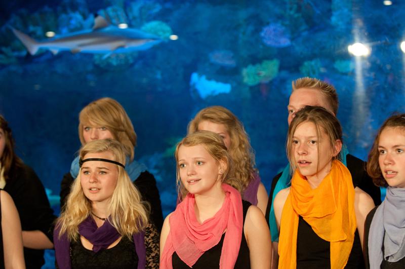  D3C_3251.jpg </br ><small> 2010-06-13 17:43</br >NIKON D300 75mm 1/60s f/3.2 ISO 1250</small>