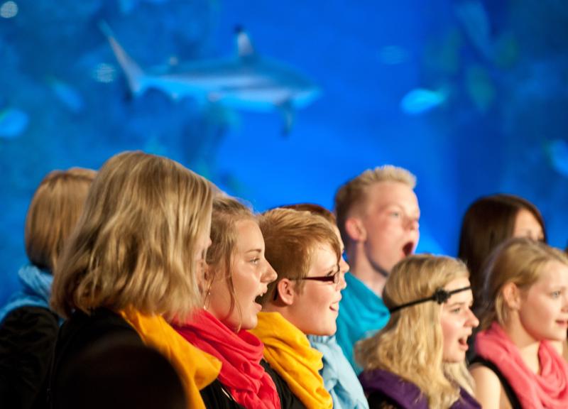  D3C_3293.jpg </br ><small> 2010-06-13 17:55</br >NIKON D300 160mm 1/40s f/3.2 ISO 1250</small>