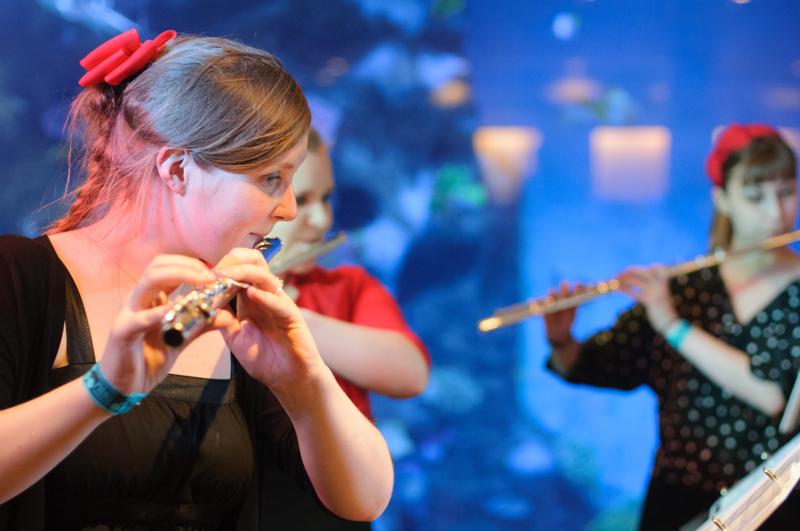  D3C_0910.JPG </br ><small> 2012-04-28 21:05</br >NIKON D300 + 50.0 mm f/1.4<br /> 50mm 1/100s f/2 ISO 1600</small>