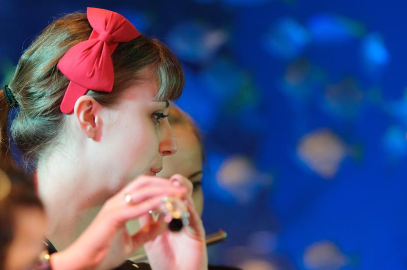  D3C_0914.JPG </br ><small> 2012-04-28 21:06</br >NIKON D300 + 70.0-200.0 mm f/2.8<br /> 110mm 1/50s f/2.8 ISO 2000</small>