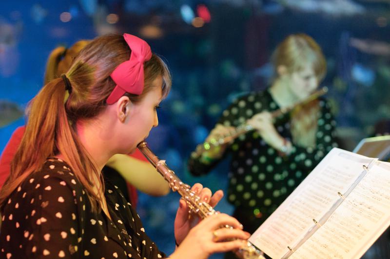  D3C_0959.JPG </br ><small> 2012-04-28 21:22</br >NIKON D300 + 50.0 mm f/1.4<br /> 50mm 1/200s f/2 ISO 2000</small>