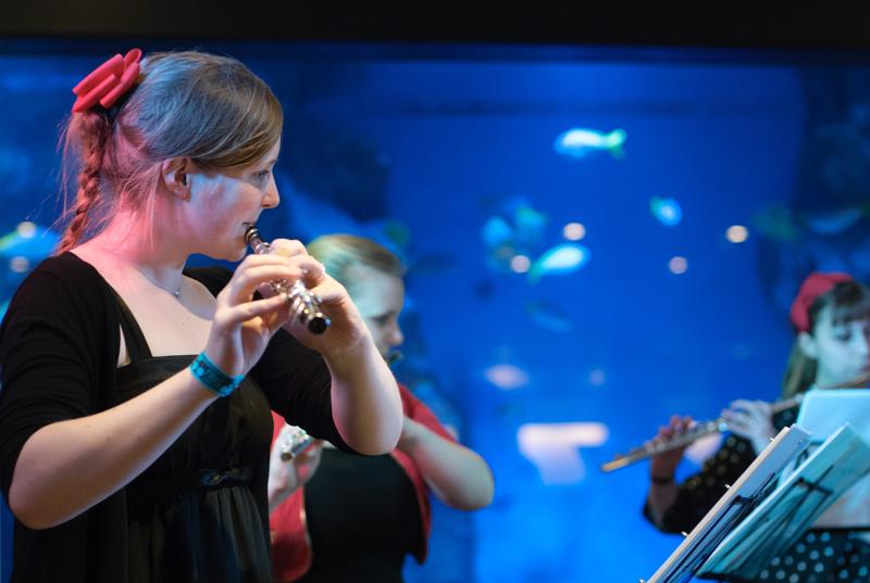  D3C_0905.JPG </br ><small> 2012-04-28 21:04</br >NIKON D300 + 50.0 mm f/1.4<br /> 50mm 1/100s f/2 ISO 1600</small>