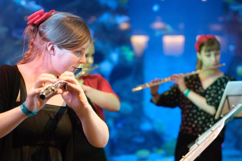  D3C_0909.JPG </br ><small> 2012-04-28 21:05</br >NIKON D300 + 50.0 mm f/1.4<br /> 50mm 1/100s f/2 ISO 1600</small>