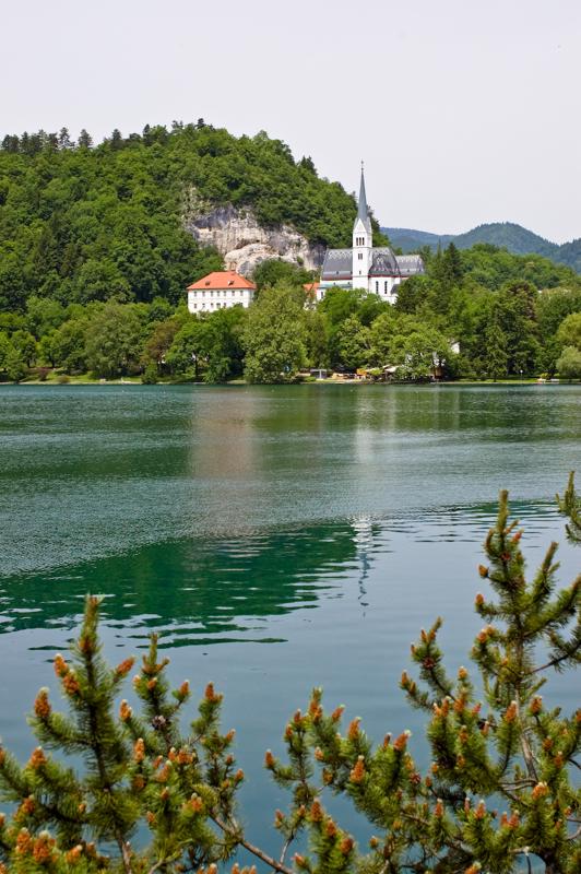  DSC_2048.jpg </br ><small> 2008-05-28 12:07</br >NIKON D70 35mm 1/500s f/8 ISO 250</small>