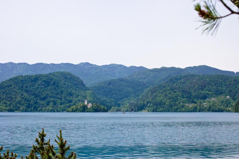  DSC_2049.jpg </br ><small> 2008-05-28 12:08</br >NIKON D70 35mm 1/500s f/8 ISO 250</small>