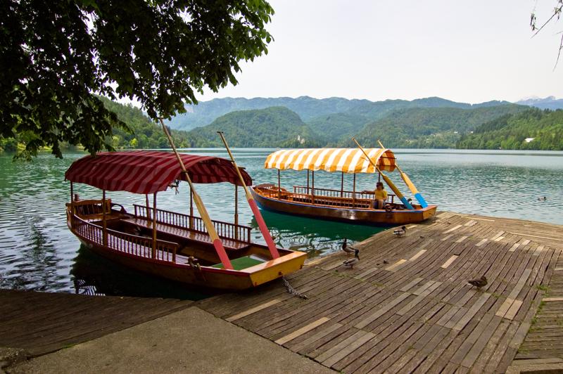  DSC_2055.jpg </br ><small> 2008-05-28 12:12</br >NIKON D70 16mm 1/500s f/8 ISO 250</small>