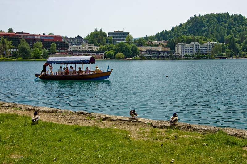  DSC_2065.jpg </br ><small> 2008-05-28 12:23</br >NIKON D70 24mm 1/800s f/8 ISO 250</small>