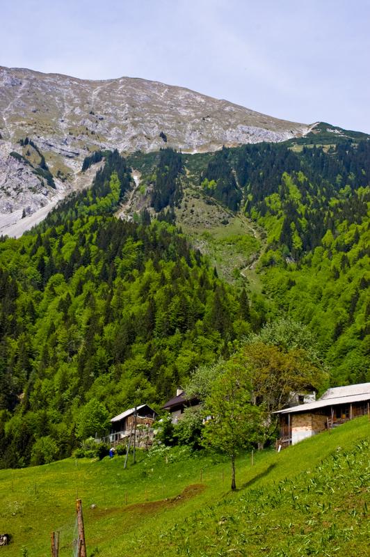  DSC_2071.jpg </br ><small> 2008-05-28 14:42</br >NIKON D70 35mm 1/400s f/8 ISO 250</small>