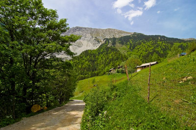  DSC_2072.jpg </br ><small> 2008-05-28 14:43</br >NIKON D70 12mm 1/500s f/8 ISO 250</small>