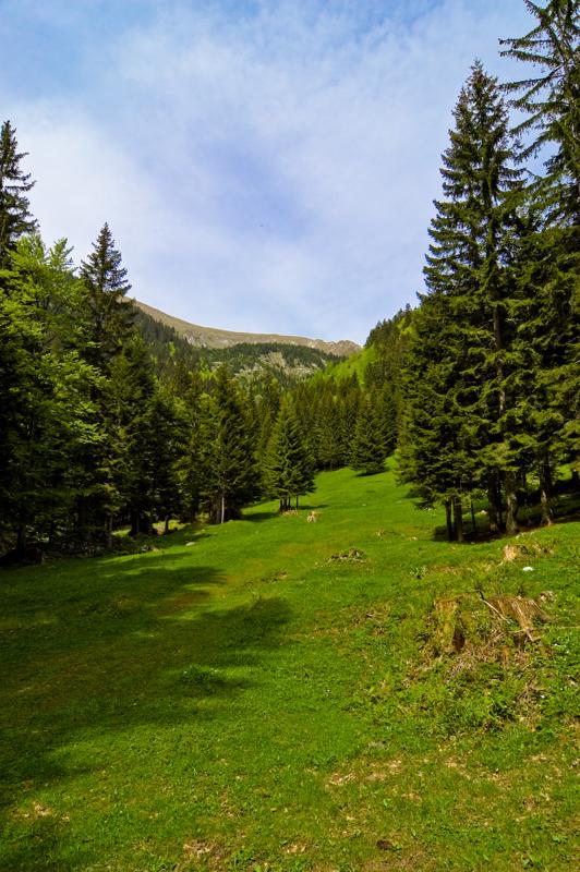  DSC_2076.jpg </br ><small> 2008-05-28 15:18</br >NIKON D70 12mm 1/500s f/8 ISO 250</small>