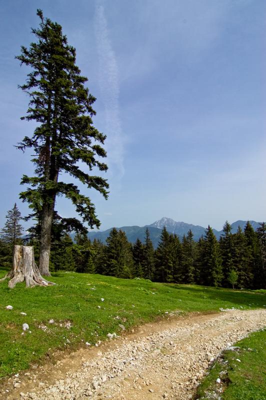  DSC_2082.jpg </br ><small> 2008-05-28 15:49</br >NIKON D70 12mm 1/1000s f/8 ISO 250</small>