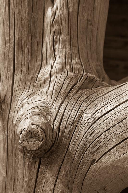  DSC_2104.jpg </br ><small> 2008-05-28 16:16</br >NIKON D70 35mm 1/500s f/8 ISO 250</small>