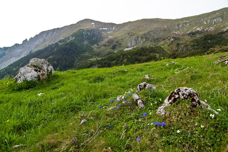  DSC_2139.jpg </br ><small> 2008-05-28 17:08</br >NIKON D70 12mm 1/320s f/8 ISO 250</small>