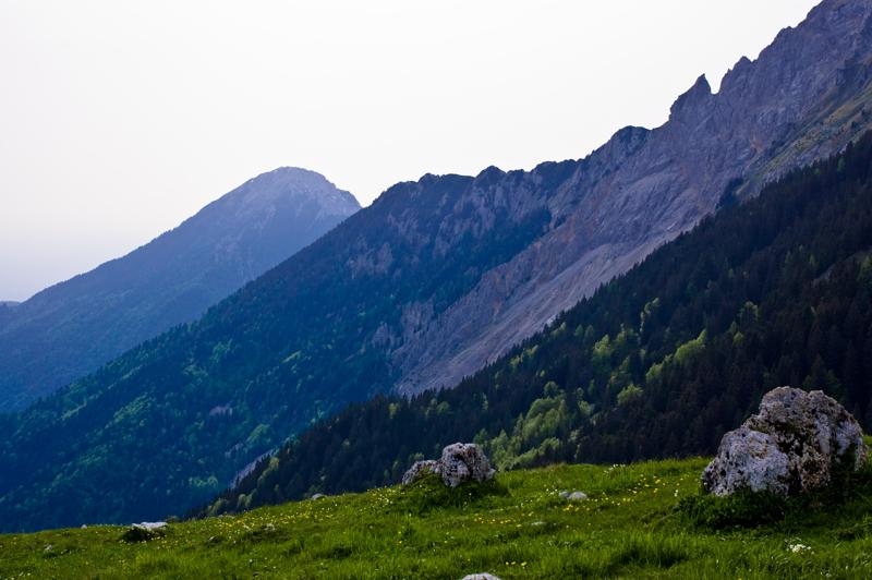  DSC_2142.jpg </br ><small> 2008-05-28 17:16</br >NIKON D70 35mm 1/640s f/8 ISO 250</small>