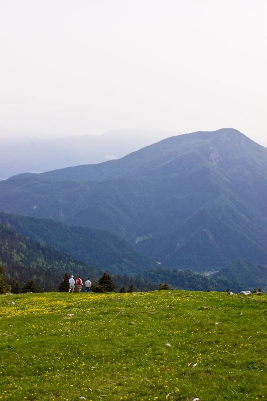  DSC_2148.jpg </br ><small> 2008-05-28 17:17</br >NIKON D70 35mm 1/400s f/8 ISO 250</small>