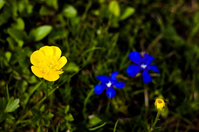  DSC_2156.jpg </br ><small> 2008-05-28 17:21</br >NIKON D70 35mm 1/1000s f/4 ISO 250</small>