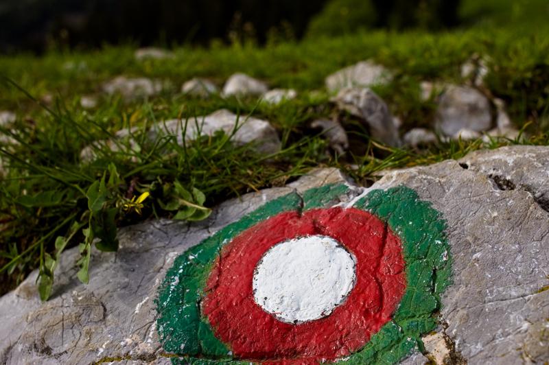  DSC_2162.jpg </br ><small> 2008-05-28 17:27</br >NIKON D70 35mm 1/500s f/8 ISO 250</small>