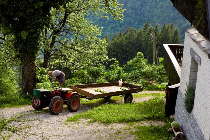  DSC_2190.jpg </br ><small> 2008-05-28 18:26</br >NIKON D70 35mm 1/200s f/5.6 ISO 200</small>