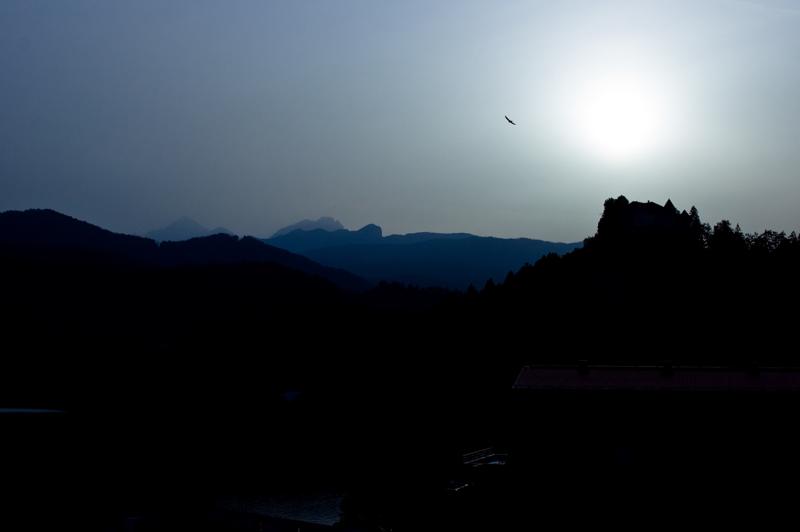  DSC_2199.jpg </br ><small> 2008-05-28 19:34</br >NIKON D70 35mm 1/2000s f/5.6 ISO 200</small>