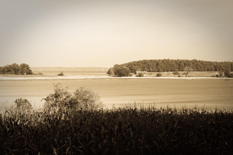  D3C_4652.jpg </br ><small> 2008-09-27 12:21</br >NIKON D300 55mm 1/100s f/8 ISO 200</small>