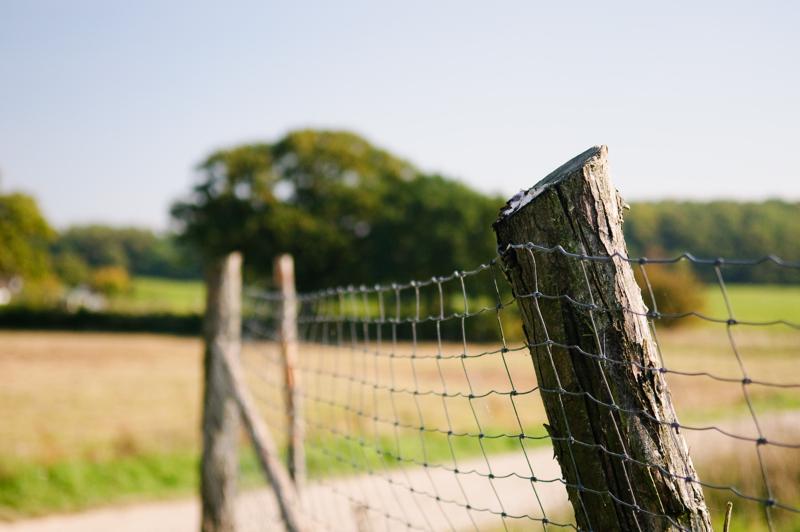  D3C_4677.jpg </br ><small> 2008-09-27 12:42</br >NIKON D300 55mm 1/1000s f/2.8 ISO 320</small>