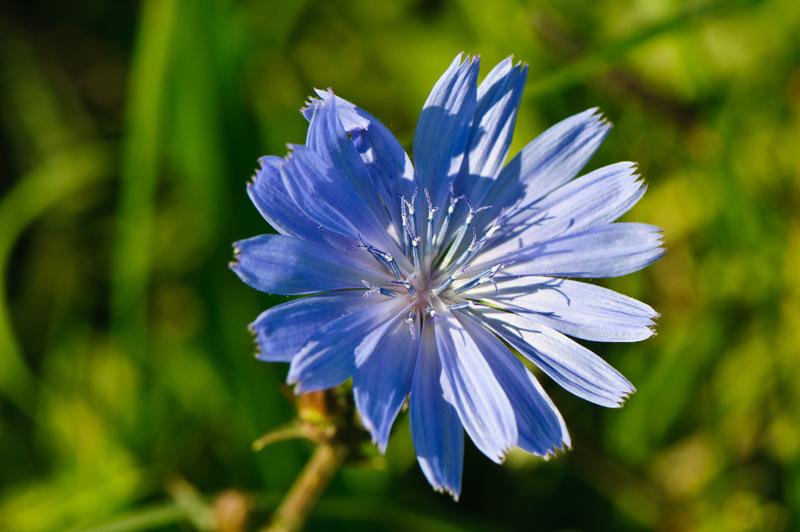  D3C_4698.jpg </br ><small> 2008-09-27 13:25</br >NIKON D300 105mm 1/640s f/8 ISO 320</small>