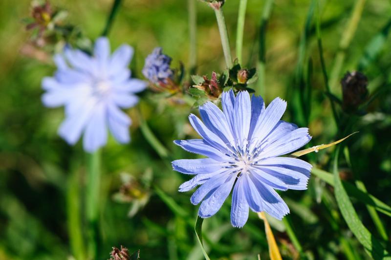  D3C_4705.jpg </br ><small> 2008-09-27 13:30</br >NIKON D300 105mm 1/800s f/8 ISO 320</small>