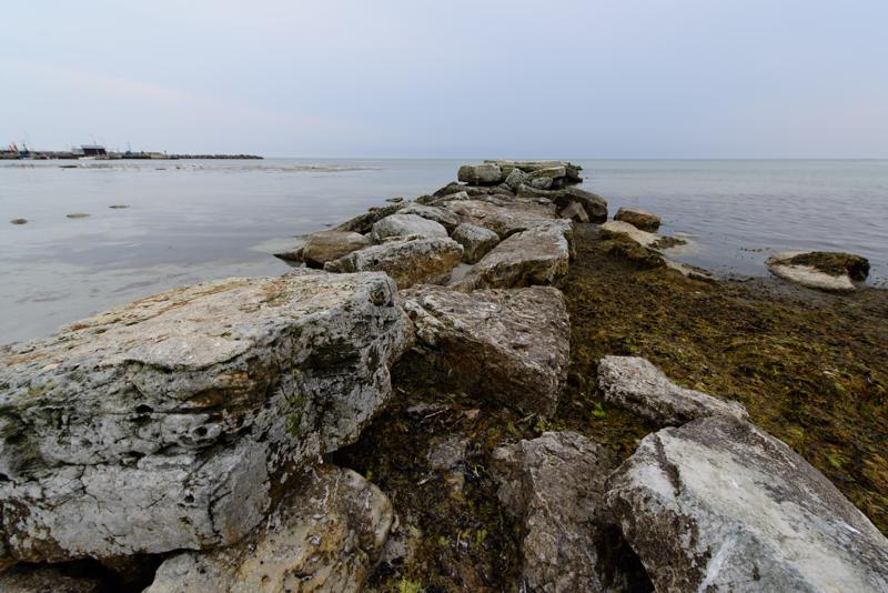  20130509_PB8_5523.JPG </br ><small> 2013-05-09 14:23</br >NIKON D800 + 14.0-24.0 mm f/2.8<br /> 14mm 1/250s f/8 ISO 200</small>