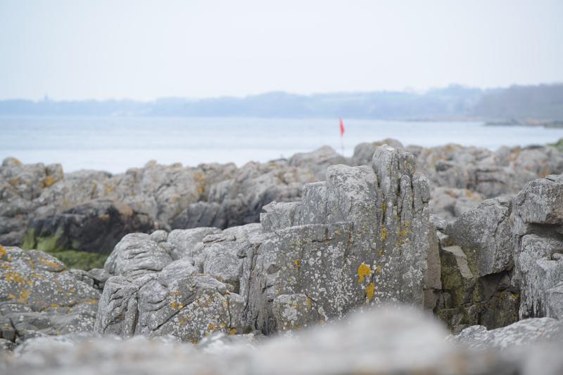  20130511_PB8_5909.JPG </br ><small> 2013-05-11 18:00</br >NIKON D800 + 70.0-200.0 mm f/2.8<br /> 200mm 1/320s f/5.6 ISO 200</small>