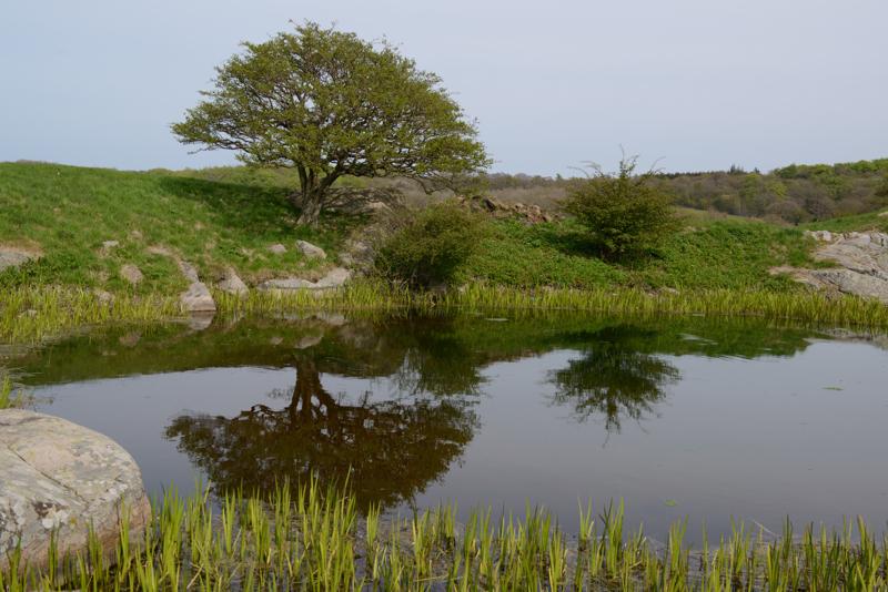  20130512_PB8_5916.JPG </br ><small> 2013-05-12 15:01</br >NIKON D800 + 24.0-70.0 mm f/2.8<br /> 42mm 1/800s f/7.1 ISO 200</small>