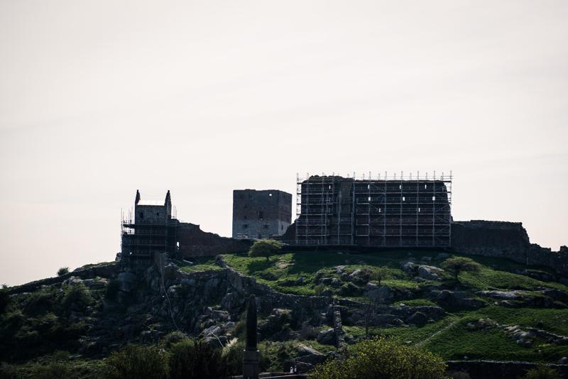  20130512_PB8_5930.JPG </br ><small> 2013-05-12 15:28</br >NIKON D800 + 24.0-70.0 mm f/2.8<br /> 70mm 1/1600s f/5.6 ISO 200</small>