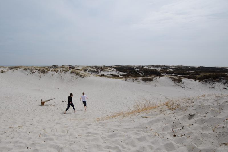  20130511_PB8_5791.JPG </br ><small> 2013-05-11 13:44</br >NIKON D800 + 14.0-24.0 mm f/2.8<br /> 14mm 1/800s f/7.1 ISO 100</small>