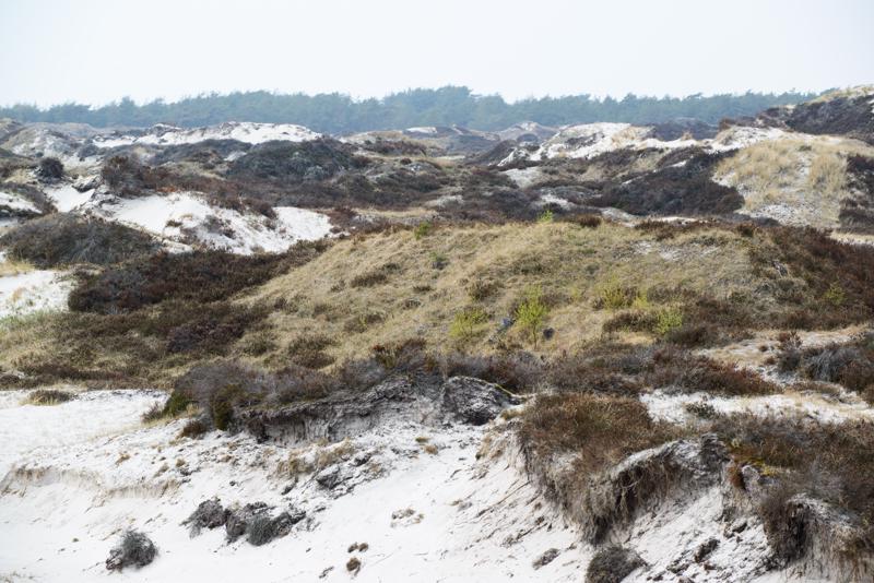  20130511_PB8_5810.JPG </br ><small> 2013-05-11 13:55</br >NIKON D800 + 70.0-200.0 mm f/2.8<br /> 155mm 1/160s f/8 ISO 100</small>