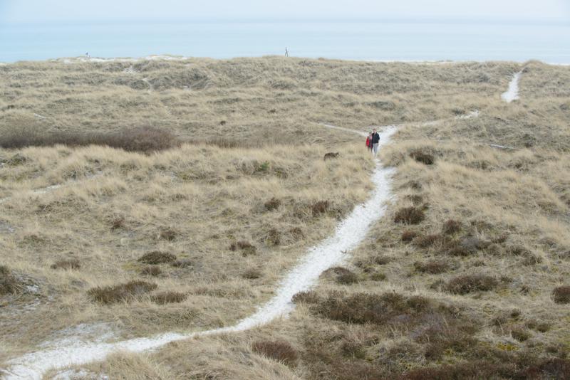  20130511_PB8_5853.JPG </br ><small> 2013-05-11 14:30</br >NIKON D800 + 70.0-200.0 mm f/2.8<br /> 70mm 1/400s f/8 ISO 200</small>