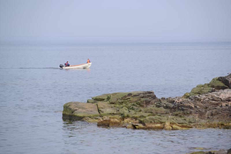  20130511_PB8_5867.JPG </br ><small> 2013-05-11 16:26</br >NIKON D800 + 70.0-200.0 mm f/2.8<br /> 200mm 1/800s f/5.6 ISO 200</small>