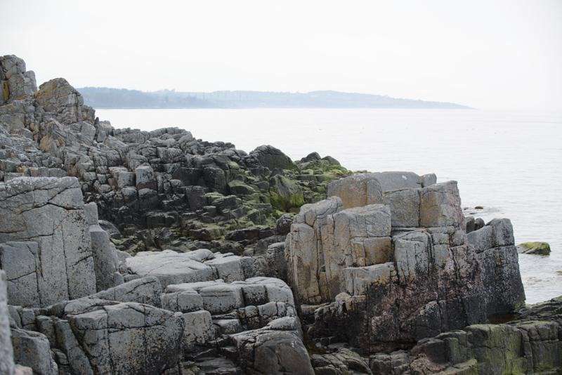  20130511_PB8_5906.JPG </br ><small> 2013-05-11 17:59</br >NIKON D800 + 70.0-200.0 mm f/2.8<br /> 82mm 1/320s f/5.6 ISO 200</small>