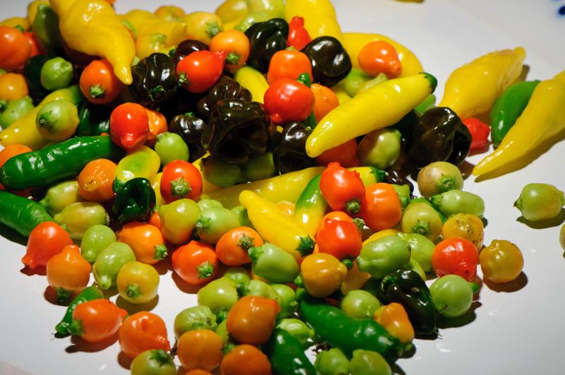  D3C_9329.jpg </br ><small></small>