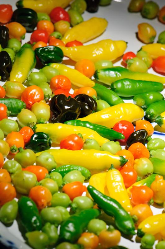  D3C_9335.jpg </br ><small></small>