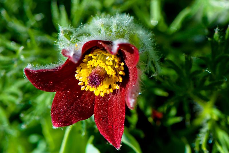  D2C_9391.jpg </br ><small> 2007-04-29 17:16</br >NIKON D200 105mm 1/250s f/9 ISO 200</small>